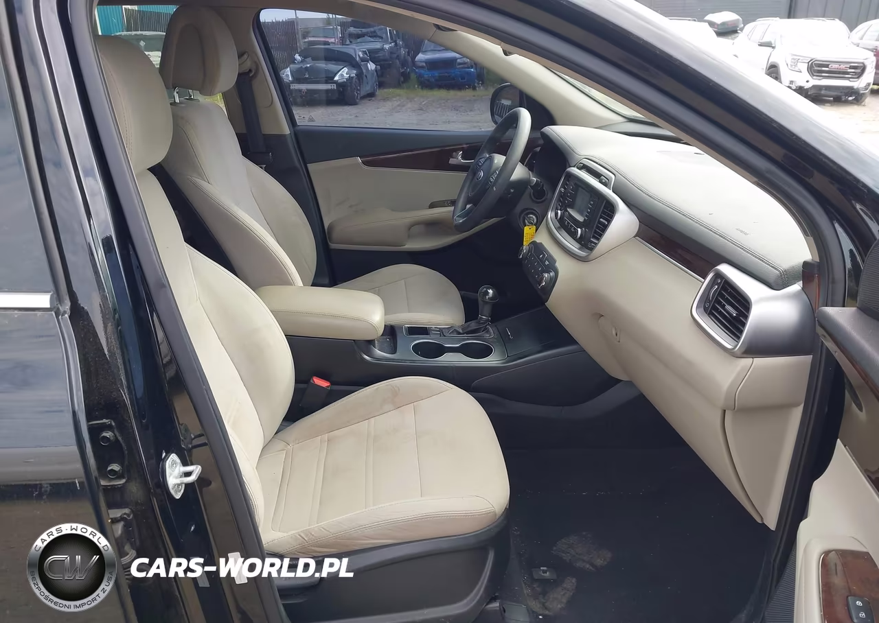 2016 Kia Sorento 3.3L Lx VIN:5XYPG4A52GG078666 - 5