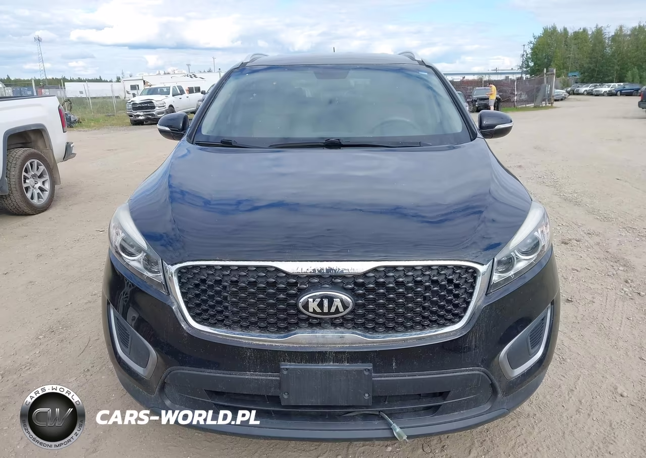 2016 Kia Sorento 3.3L Lx VIN:5XYPG4A52GG078666 - 6
