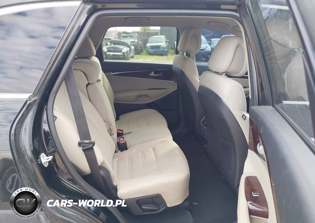 2016 Kia Sorento 3.3L Lx VIN:5XYPG4A52GG078666 - 8