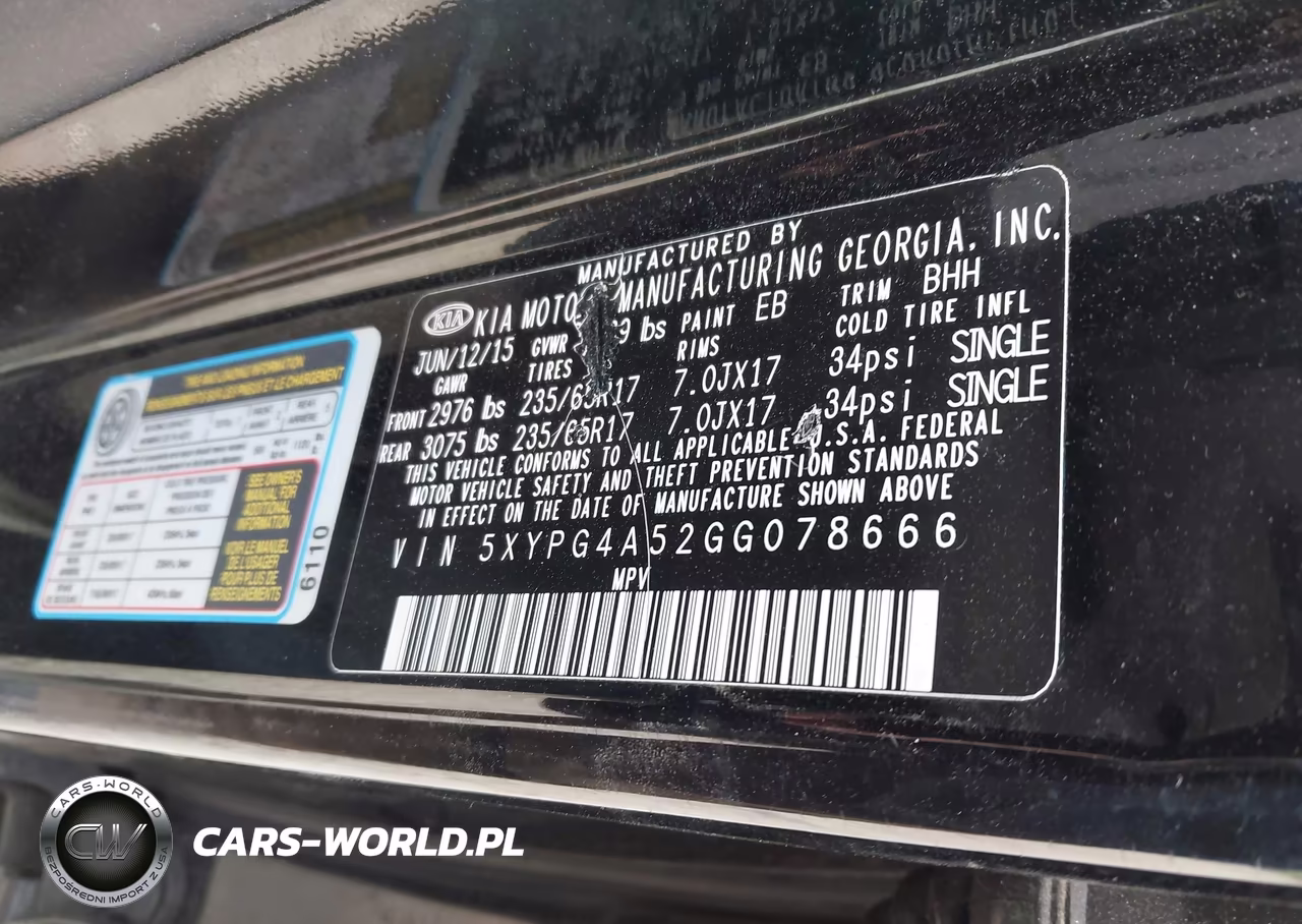 2016 Kia Sorento 3.3L Lx VIN:5XYPG4A52GG078666 - 9