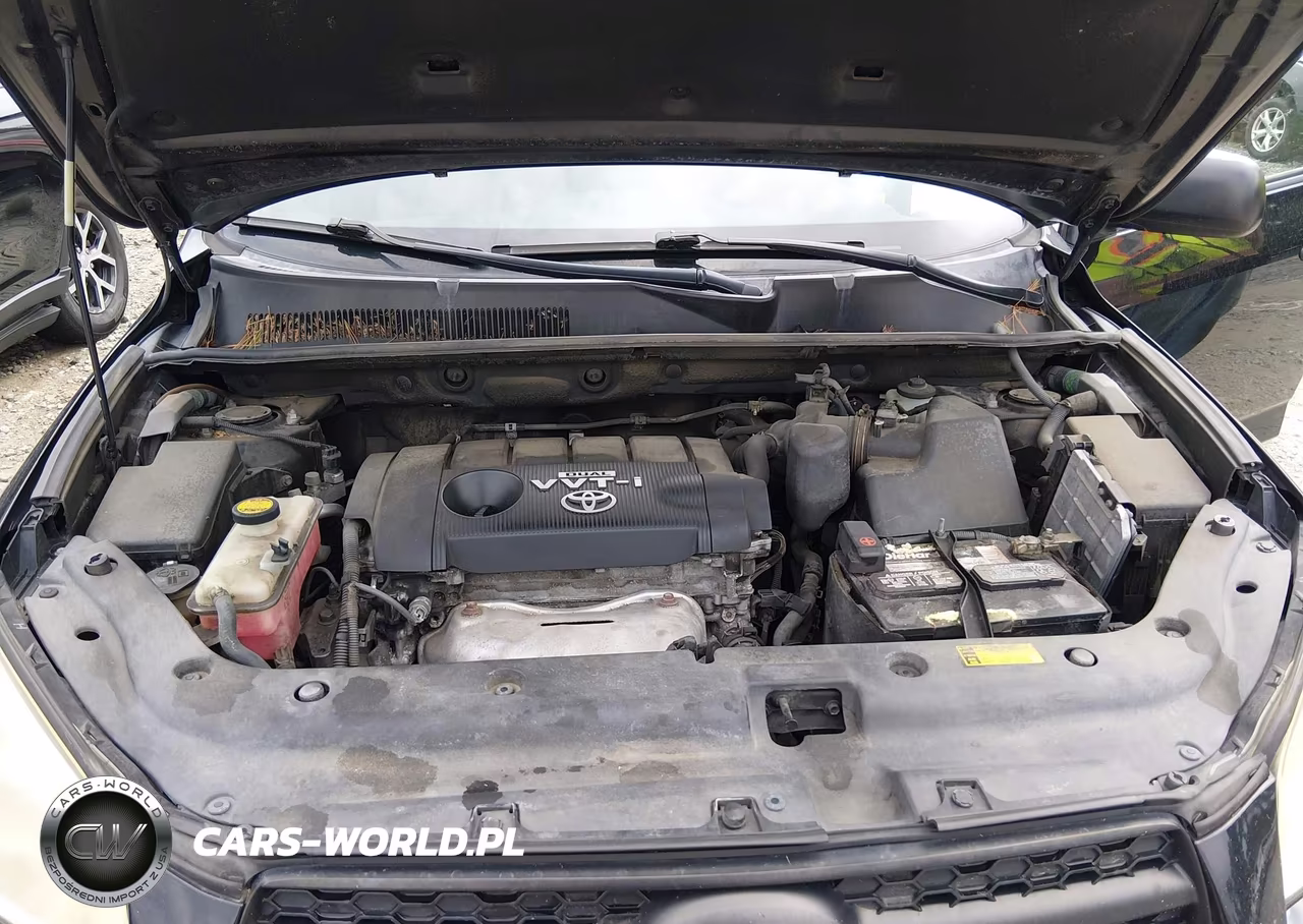 2009 Toyota Rav4 VIN:JTMBF33V29D018635 - 10