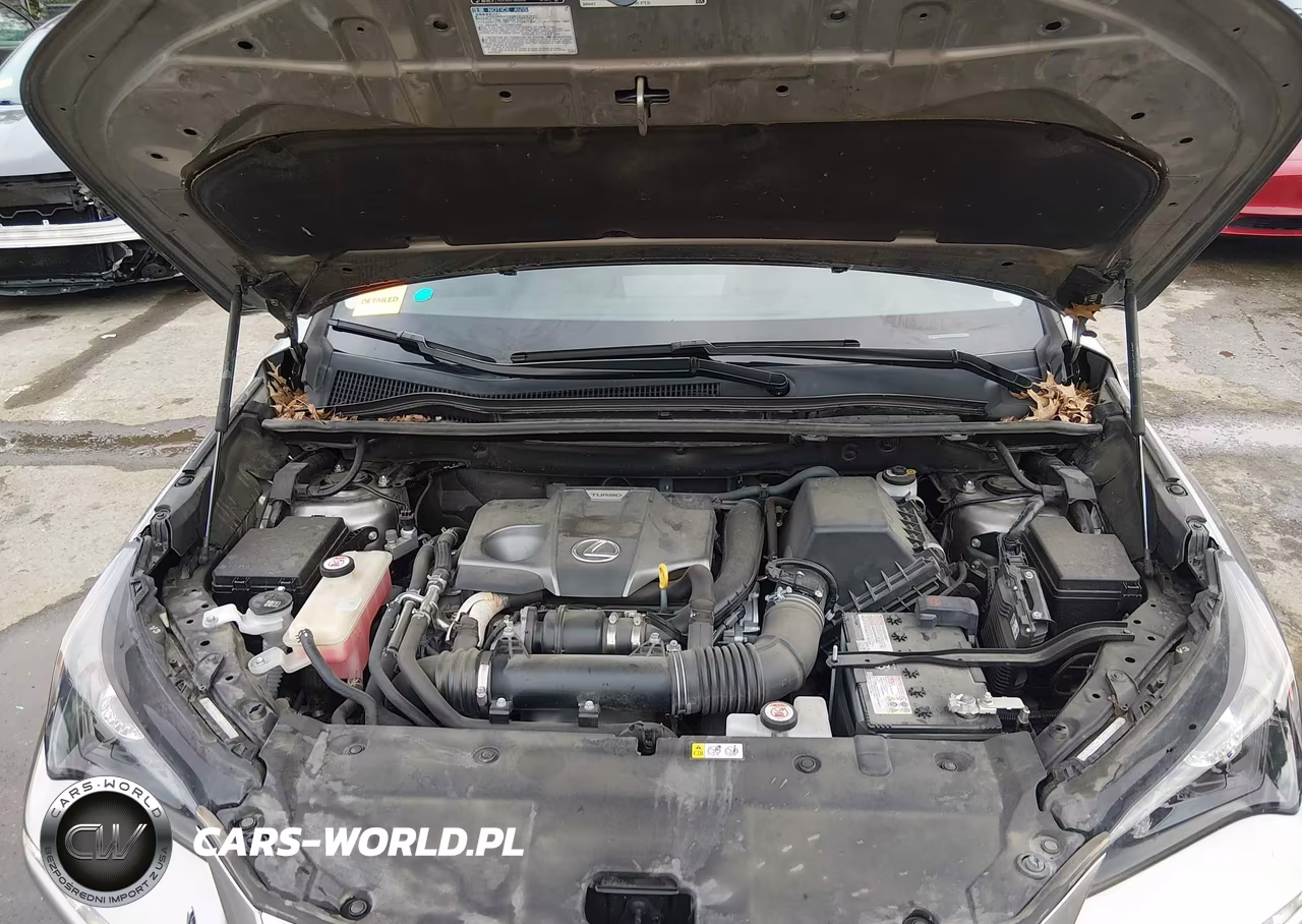 2020 Lexus Nx 300 VIN:JTJDARDZ7L2235187 - 10