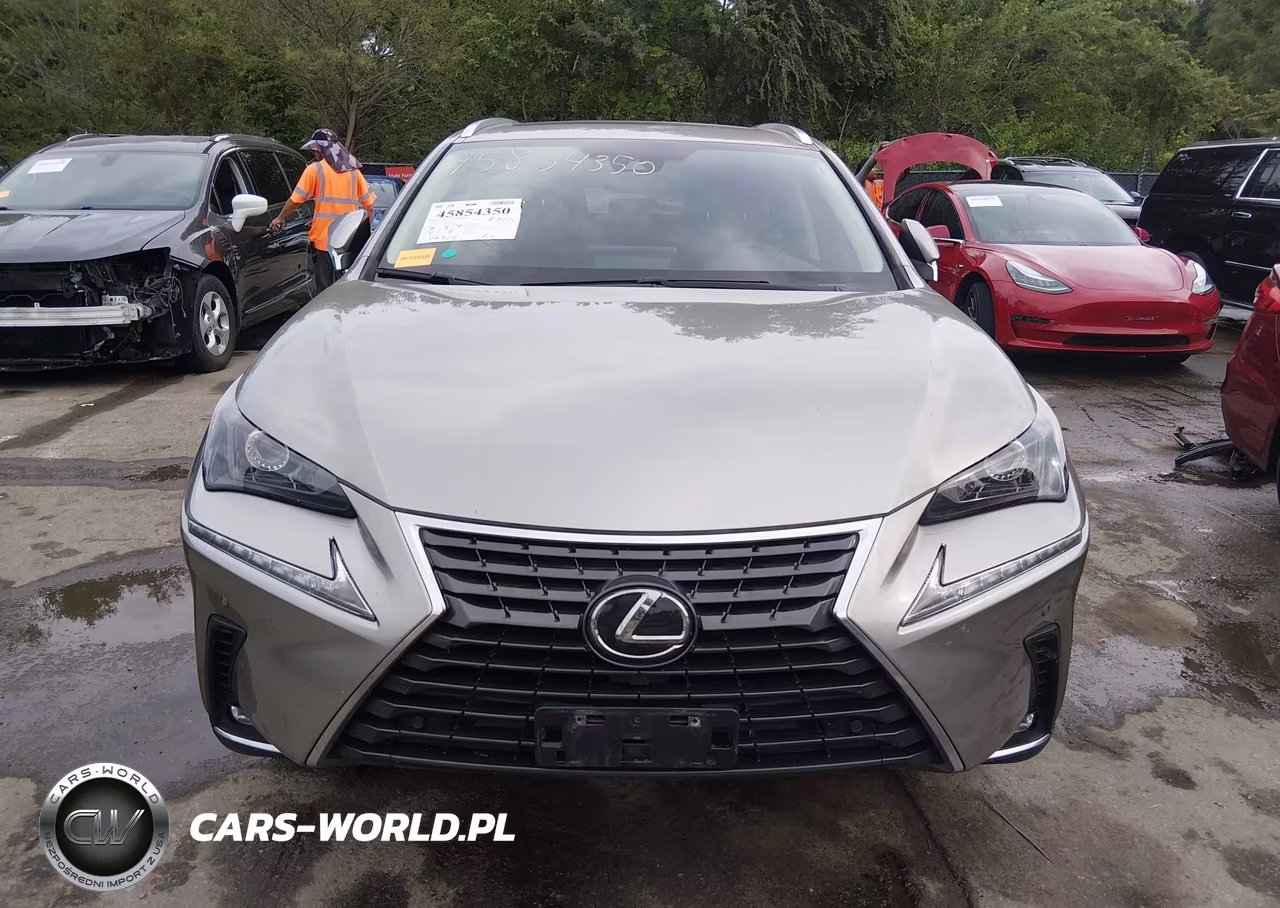 2020 Lexus Nx 300 VIN:JTJDARDZ7L2235187 - 12