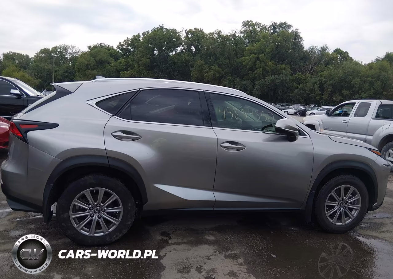 2020 Lexus Nx 300 VIN:JTJDARDZ7L2235187 - 13