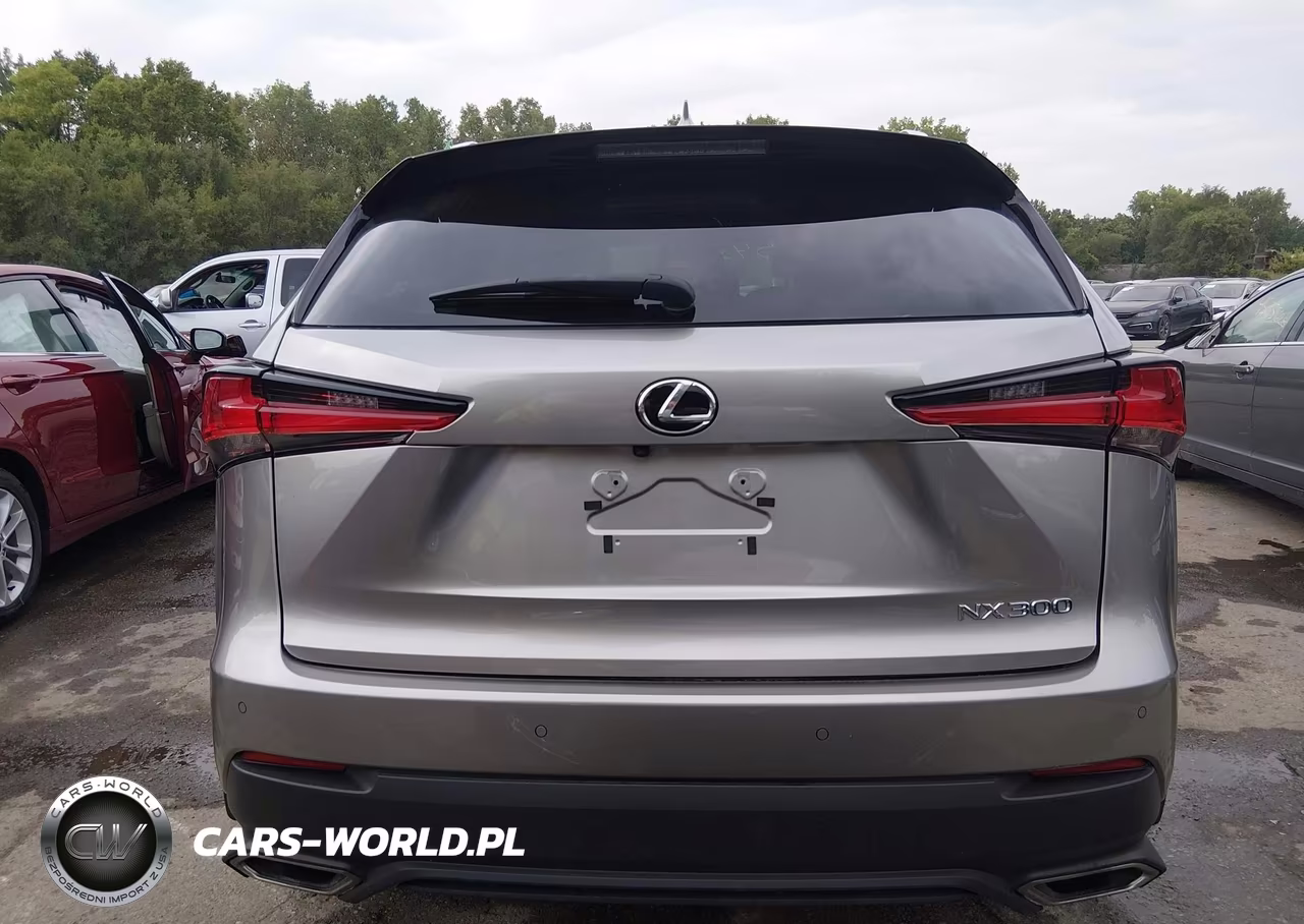 2020 Lexus Nx 300 VIN:JTJDARDZ7L2235187 - 16