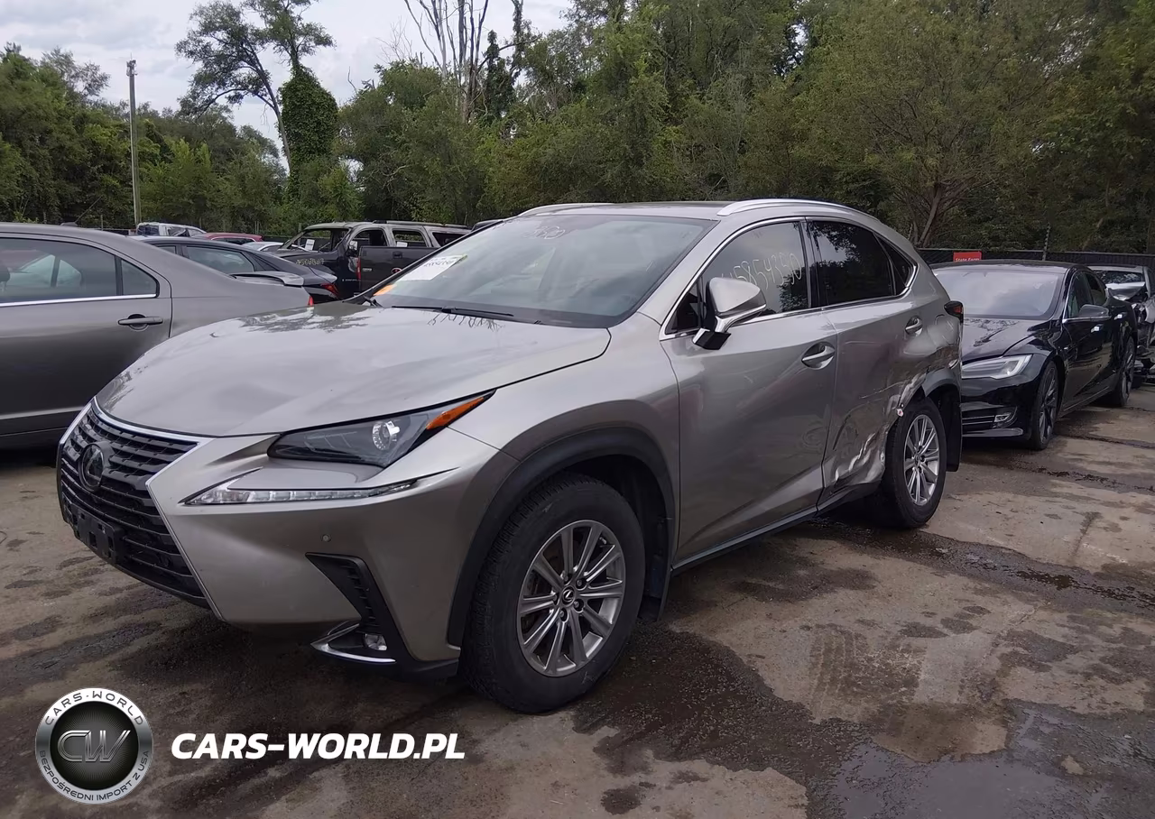 2020 Lexus Nx 300 VIN:JTJDARDZ7L2235187 - 2