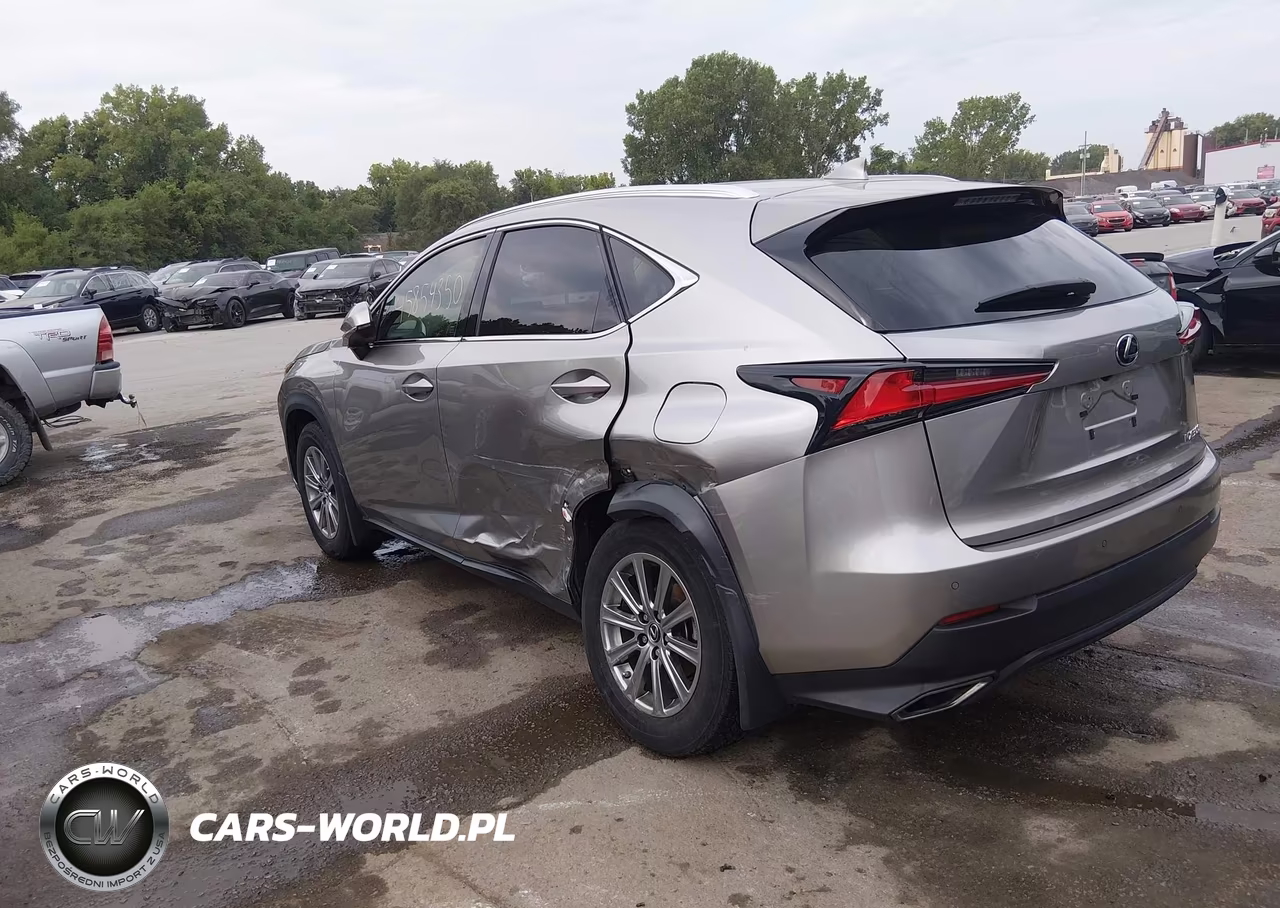 2020 Lexus Nx 300 VIN:JTJDARDZ7L2235187 - 3