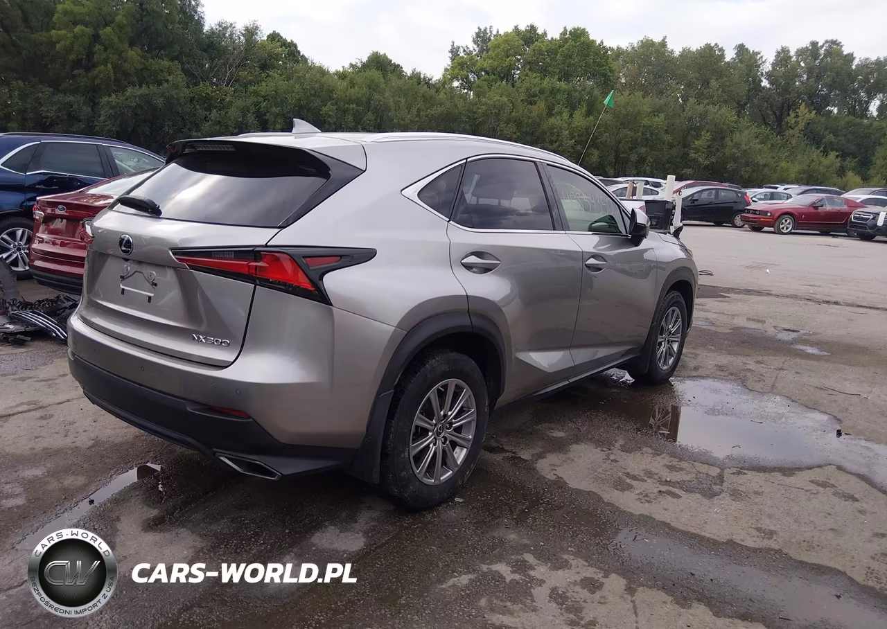 2020 Lexus Nx 300 VIN:JTJDARDZ7L2235187 - 4
