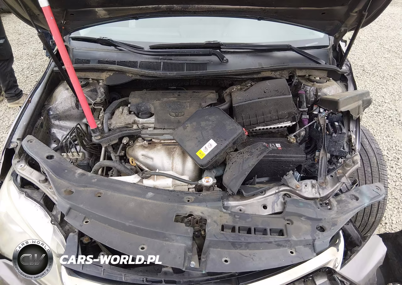 2017 Toyota Camry Xse VIN:4T1BF1FK0HU277933 - 10