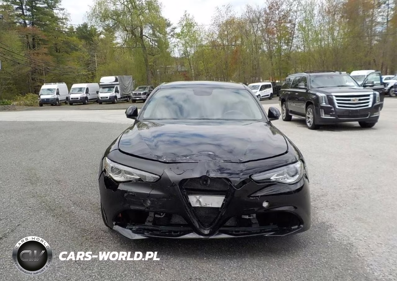ALFA  ROMEOGIULIA VIN:ZARFANAN2K7612702 - 10