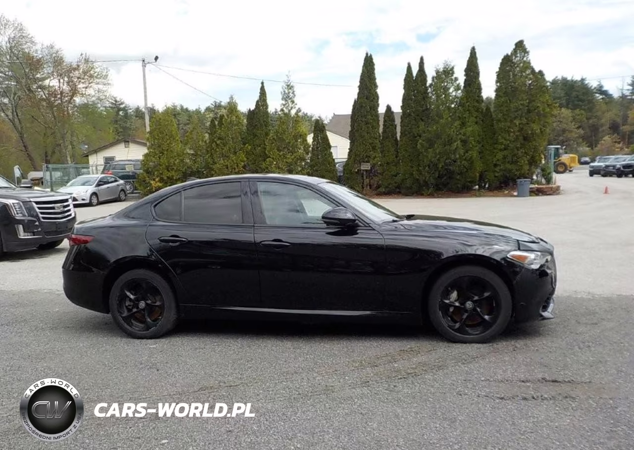 ALFA  ROMEOGIULIA VIN:ZARFANAN2K7612702 - 13