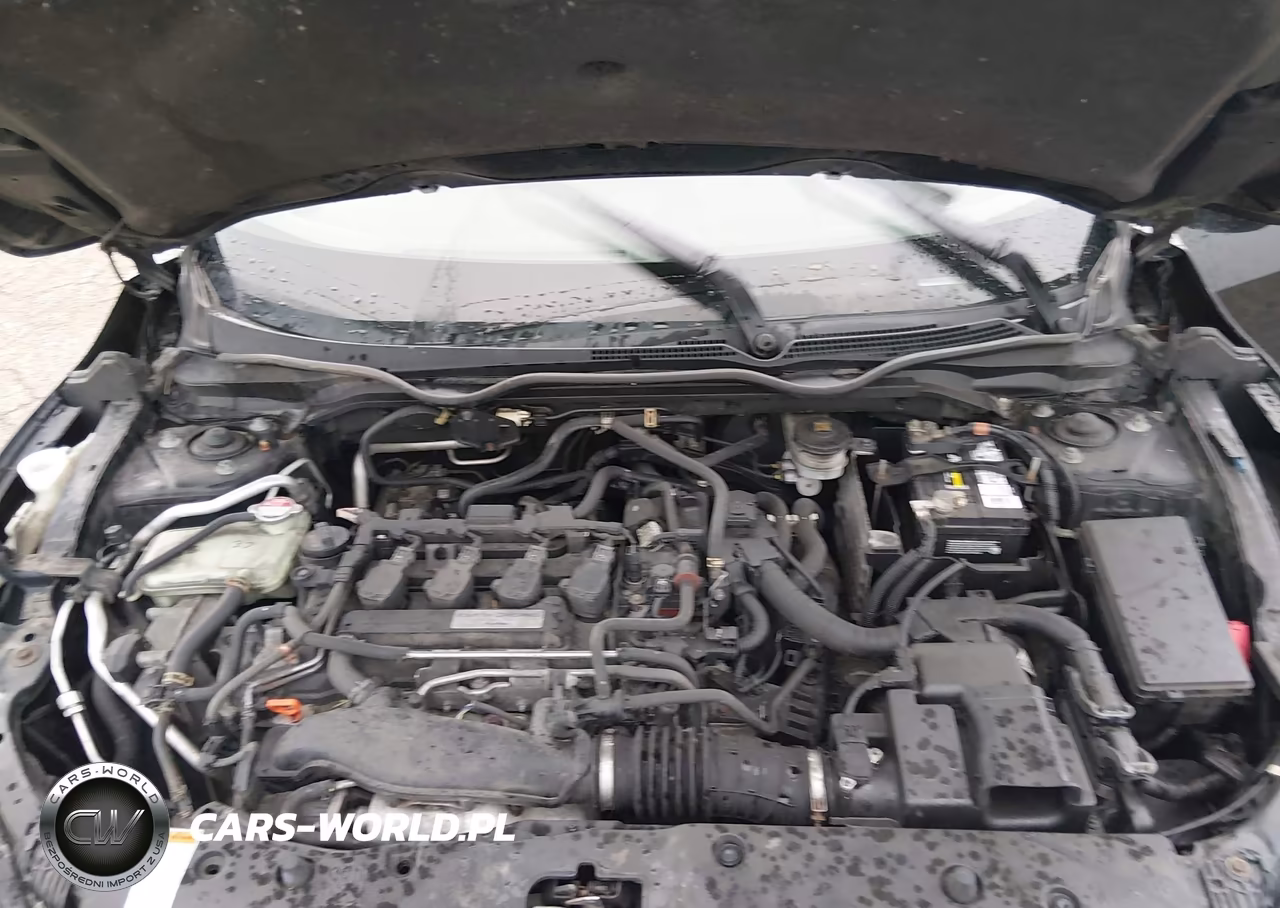2019 Honda Civic Ex VIN:JHMFC1F30KX003384 - 10