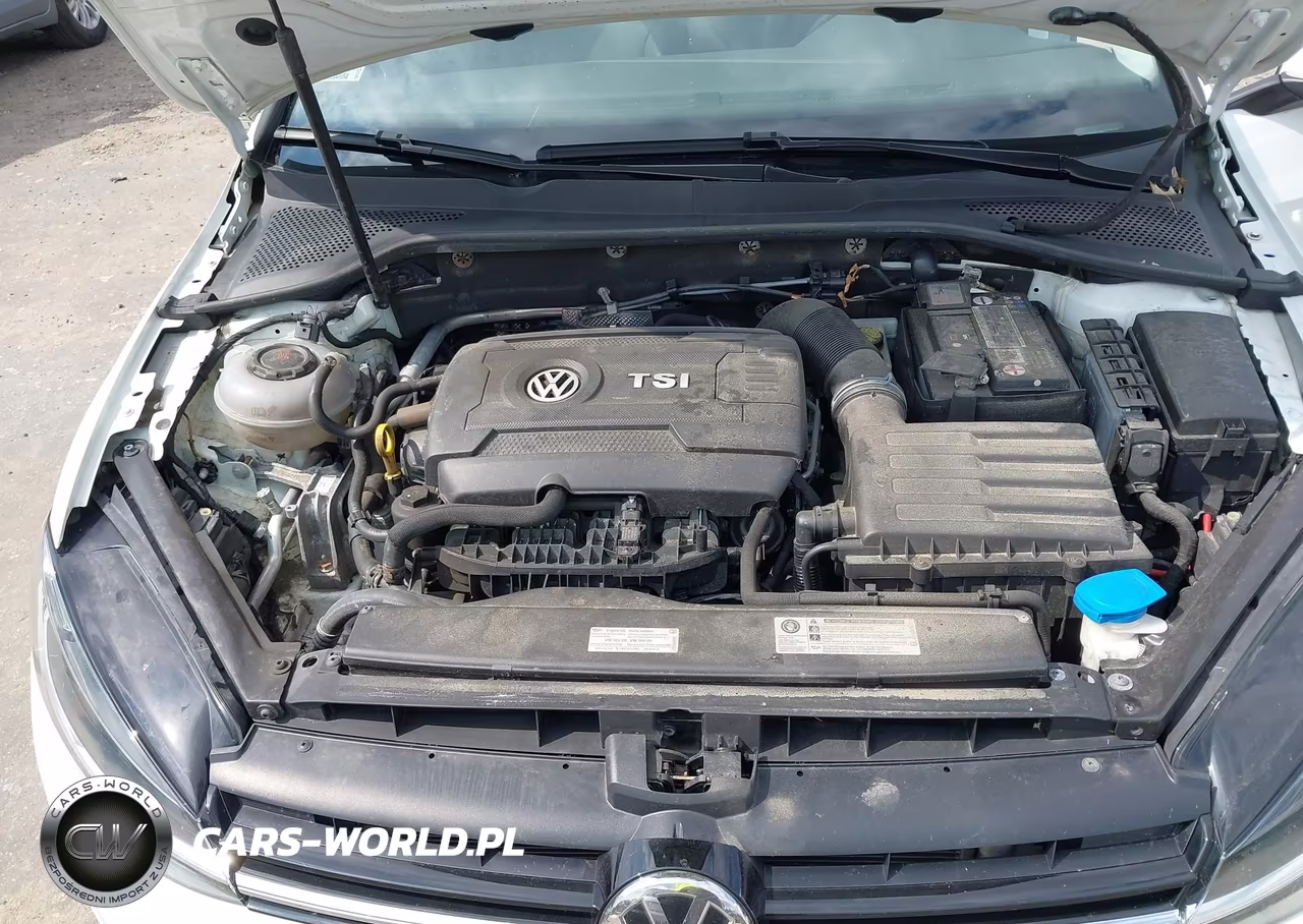 2018 Volkswagen Golf Tsi S-Tsi Se VIN:3VWG17AU0JM272954 - 10