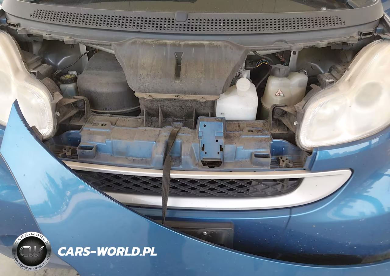 2008 Smart Fortwo Passion-Pure VIN:WMEEJ31X88K190938 - 10