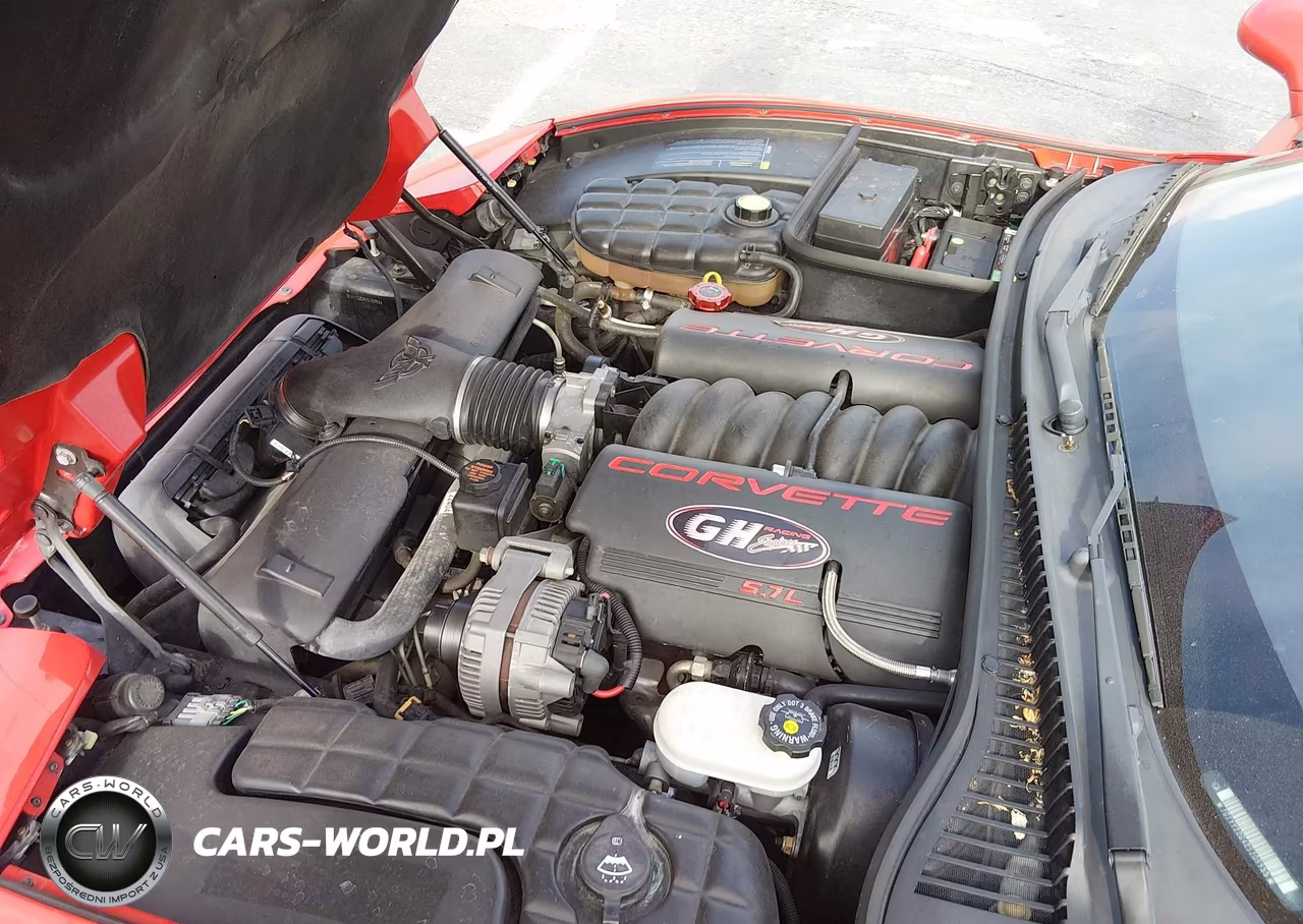 2002 Chevrolet Corvette VIN:1G1YY22G425105933 - 10