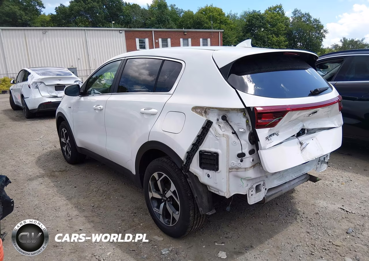 2020 Kia Sportage Lx VIN:KNDPMCAC5L7752754 - 3