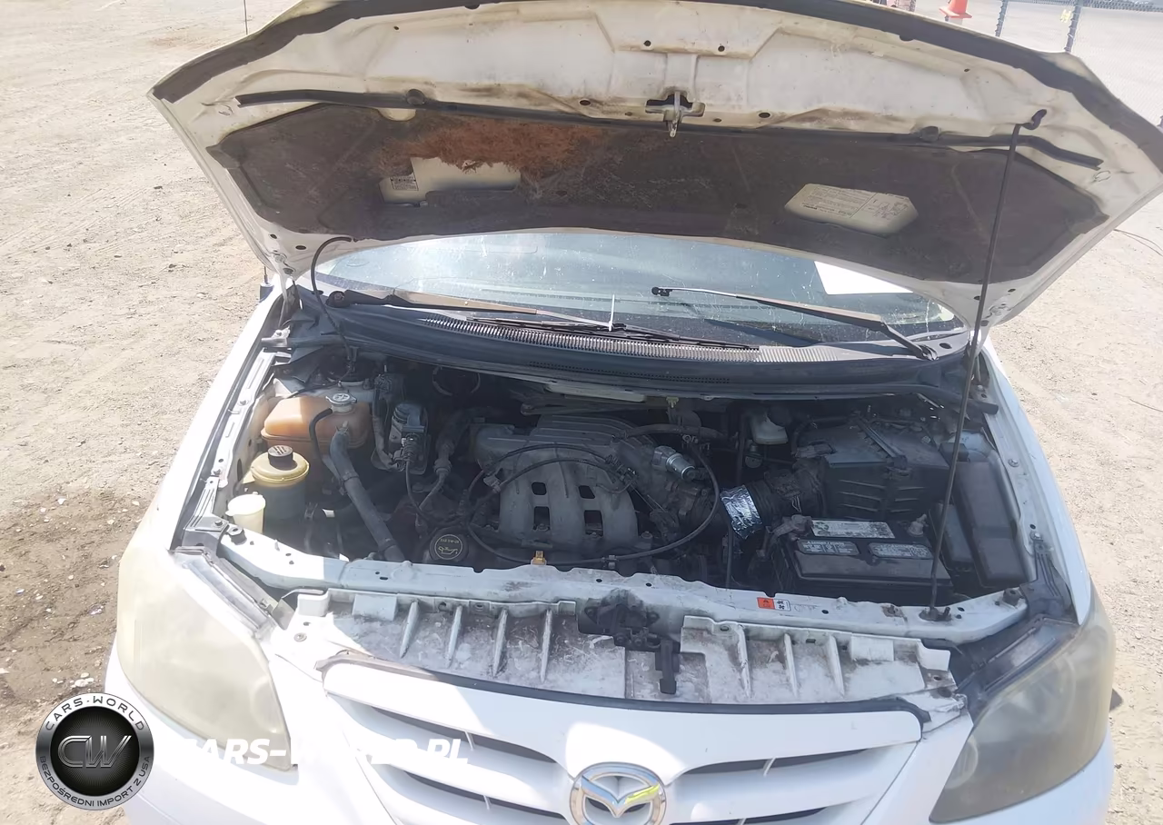 2004 Mazda Mpv Lx VIN:JM3LW28J540500981 - 10
