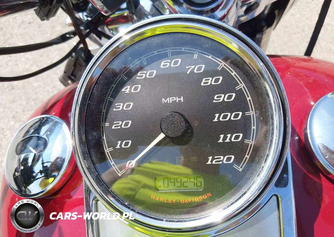 2021 Harley-Davidson Flhr VIN:1HD1FBC16MB606141 - 7