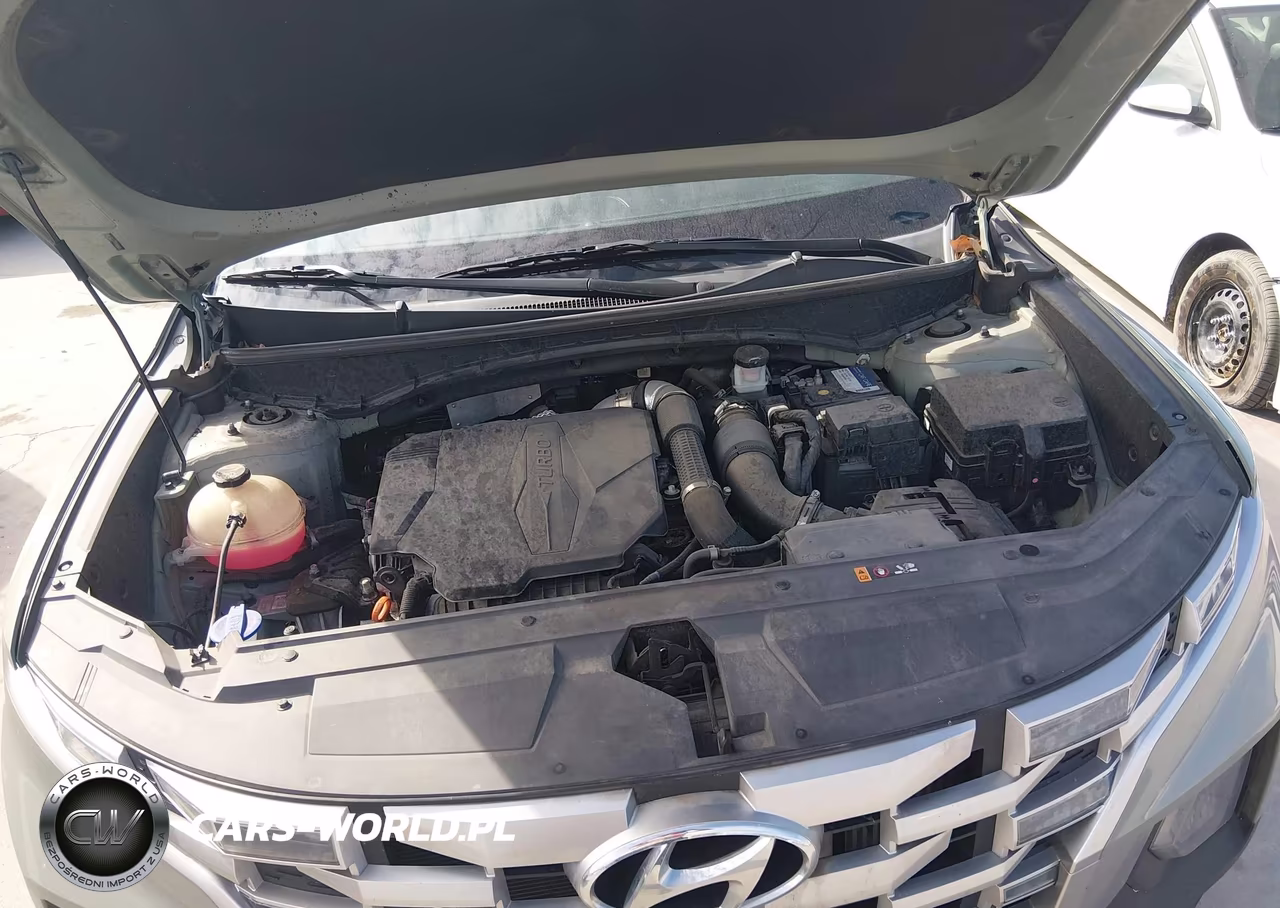 2023 Hyundai Santa Cruz Sel Premium VIN:5NTJDDAF2PH044860 - 10