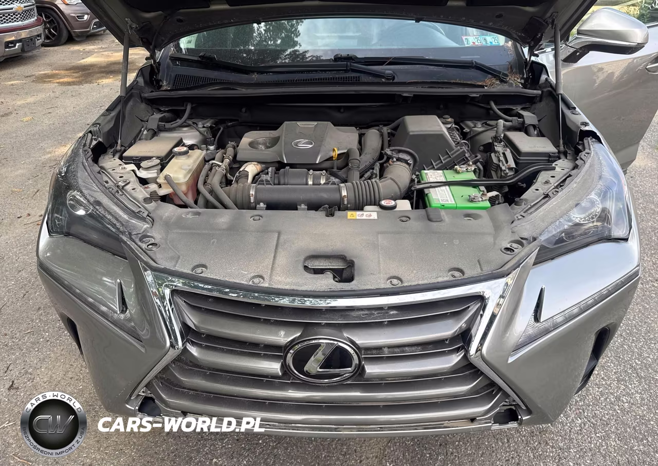 2016 Lexus Nx 200T Base VIN:JTJBARBZ5G2095978 - 10