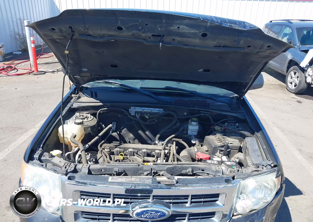 2011 Ford Escape Xlt VIN:1FMCU0D76BKA08244 - 10
