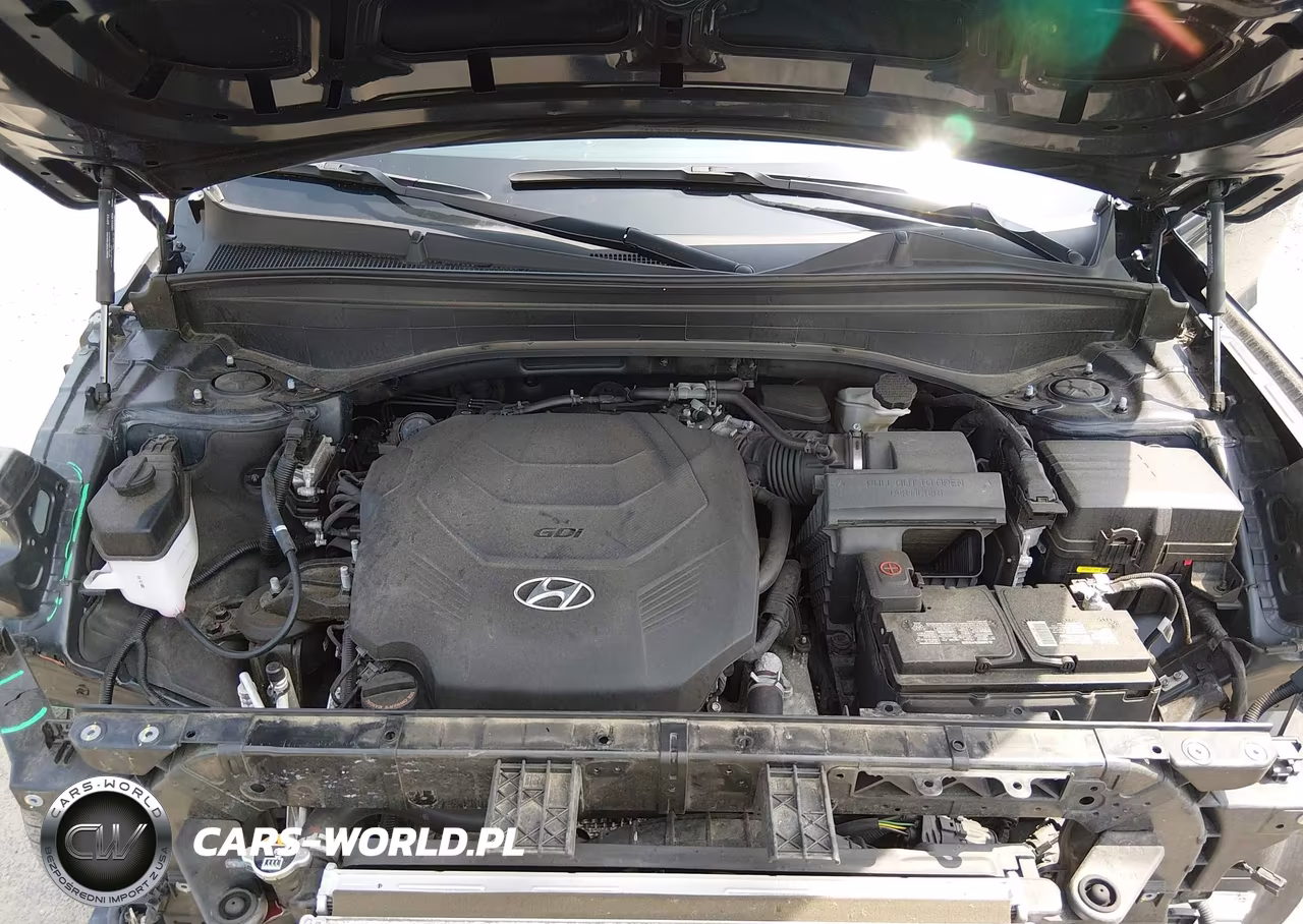 2024 Hyundai Palisade Calligraphy VIN:KM8R74GE2RU717920 - 10