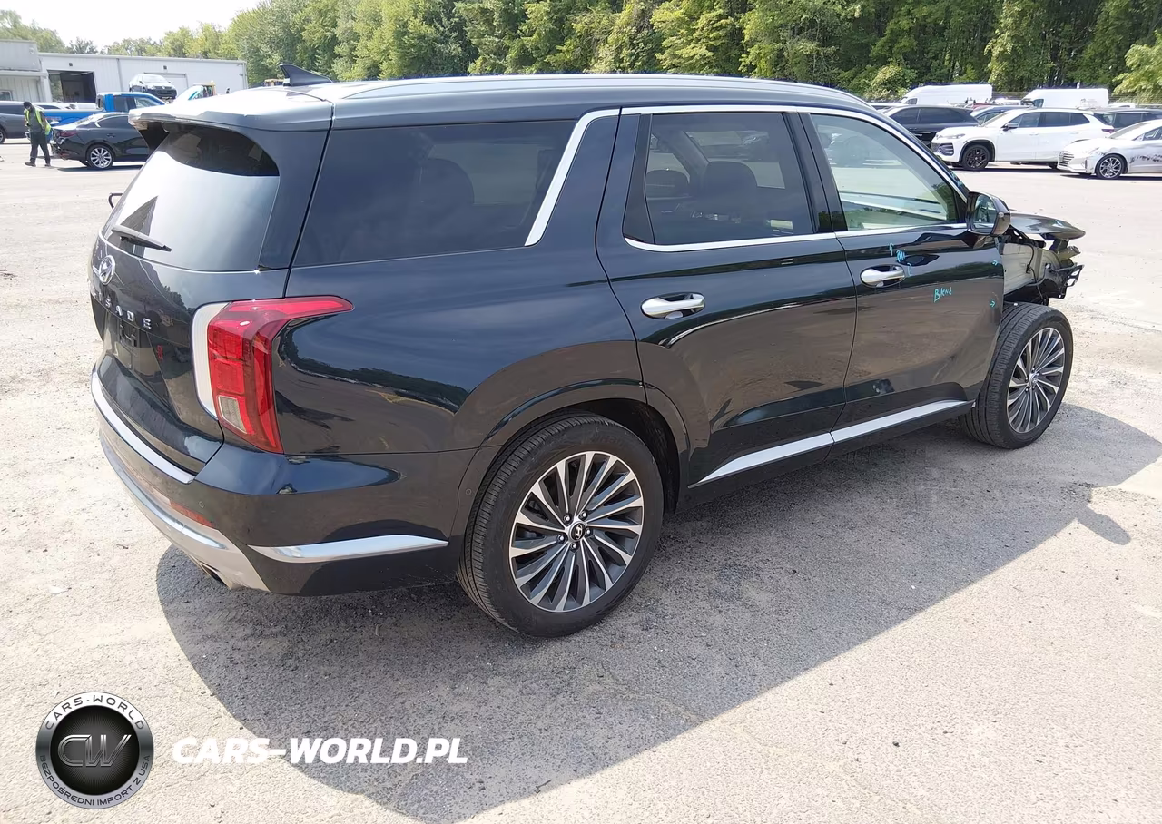 2024 Hyundai Palisade Calligraphy VIN:KM8R74GE2RU717920 - 4
