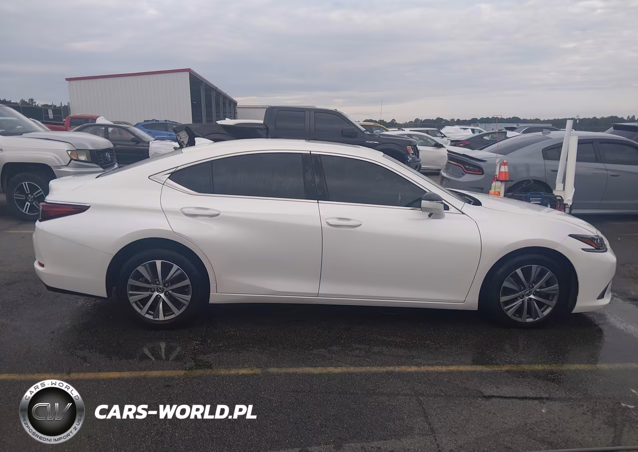 2020 Lexus Es 350 VIN:58ADZ1B12LU060897 - 13