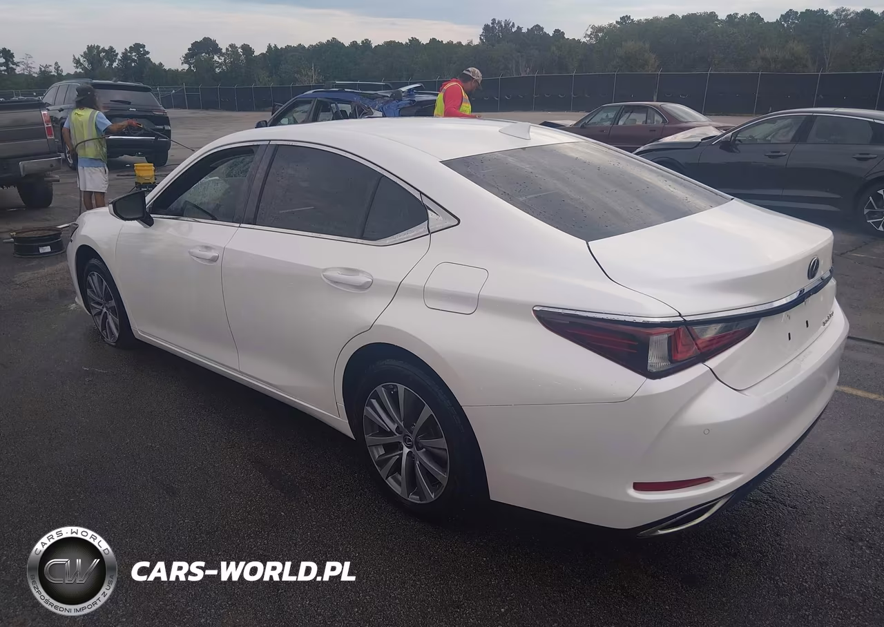 2020 Lexus Es 350 VIN:58ADZ1B12LU060897 - 3