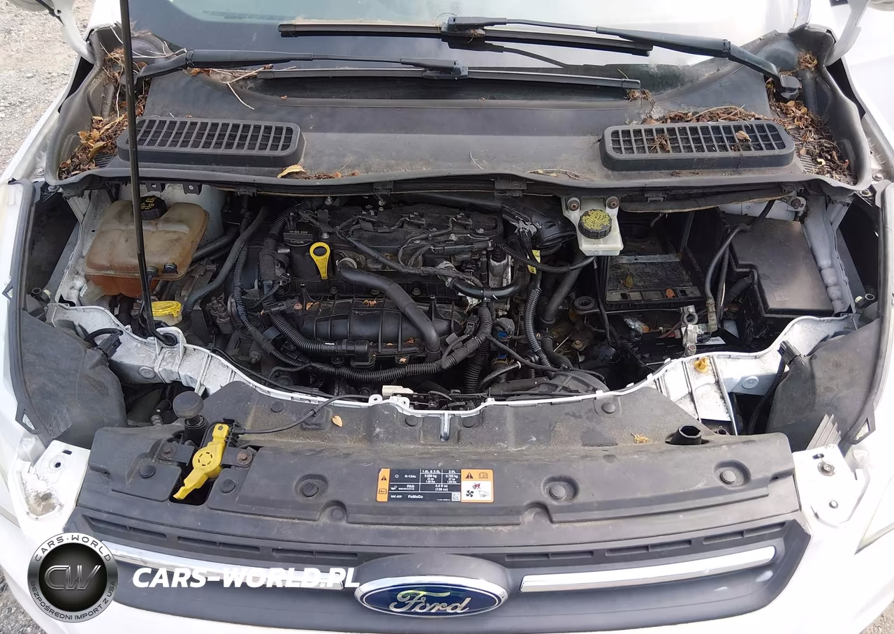 2015 Ford Escape Se VIN:1FMCU9GX6FUC84952 - 10