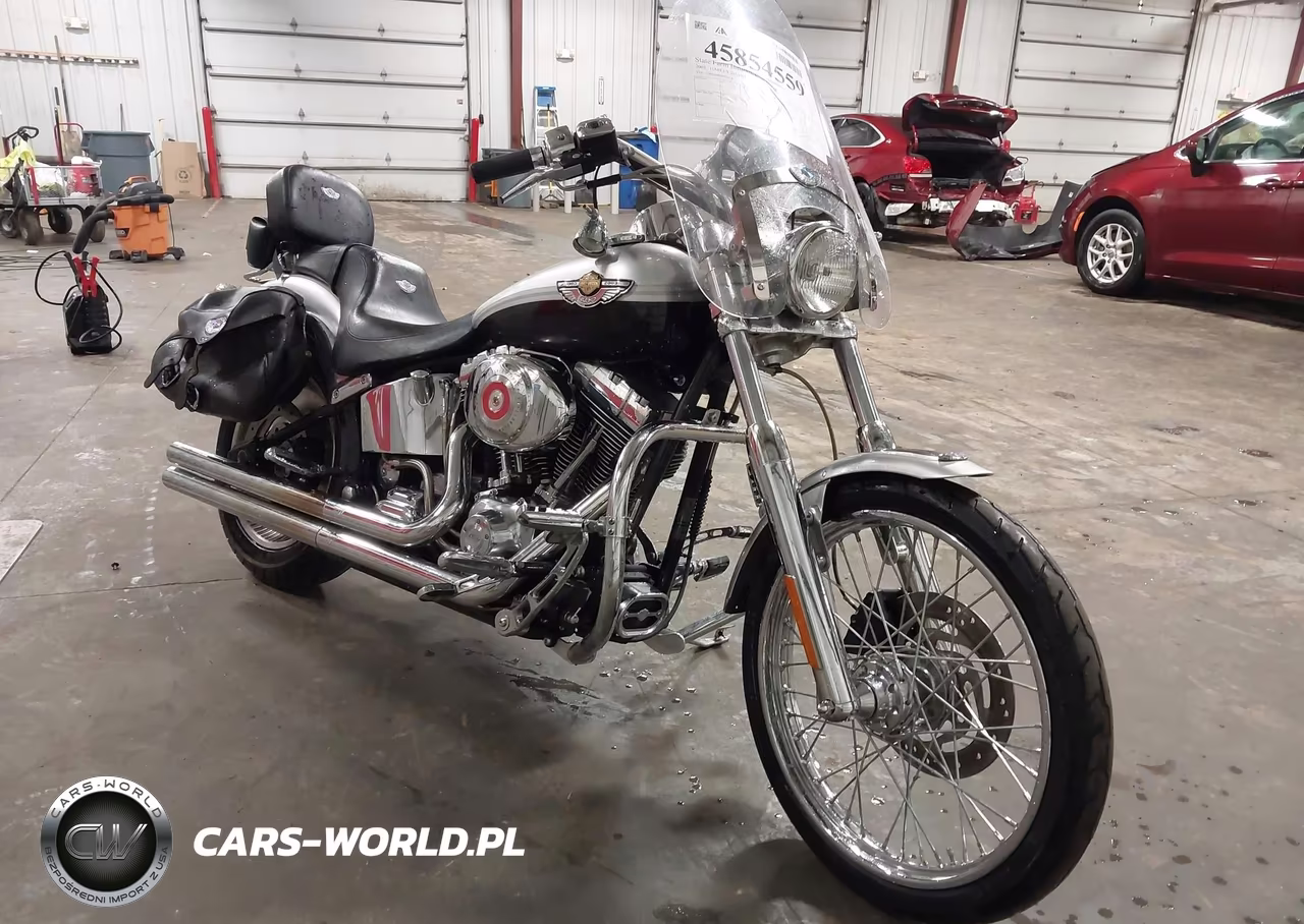 2003 Harley-Davidson Fxstdi Anniversary