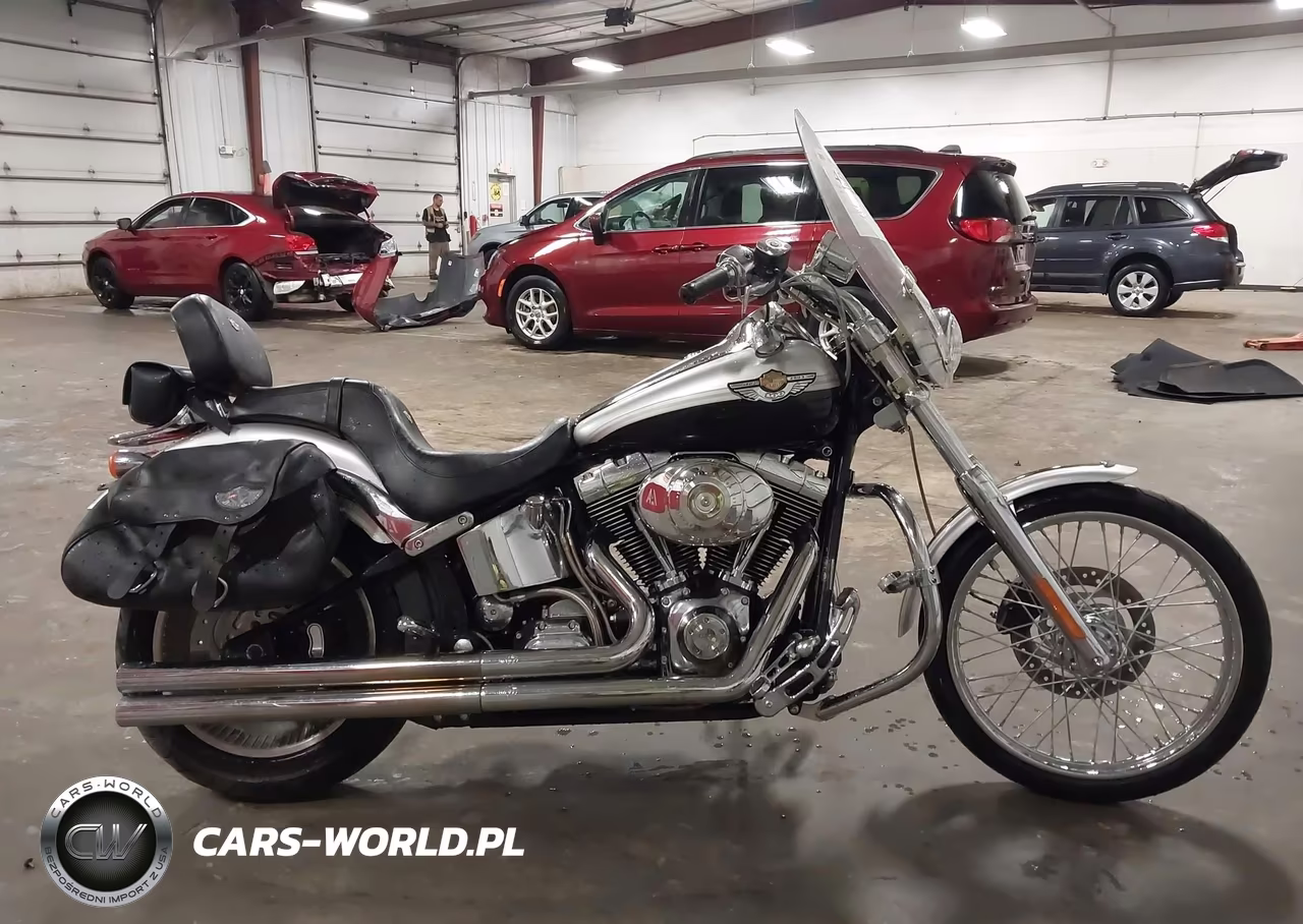 2003 Harley-Davidson Fxstdi Anniversary VIN:1HD1JBB443Y014131 - 12