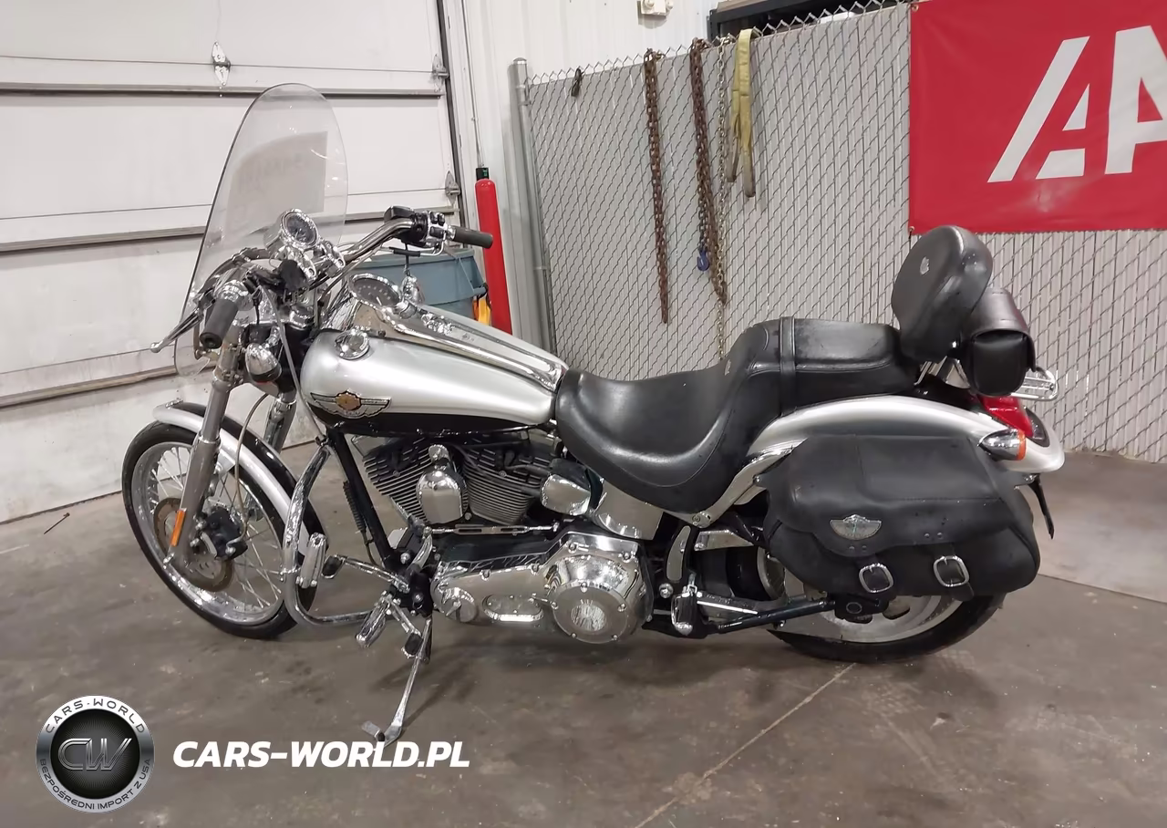 2003 Harley-Davidson Fxstdi Anniversary VIN:1HD1JBB443Y014131 - 13