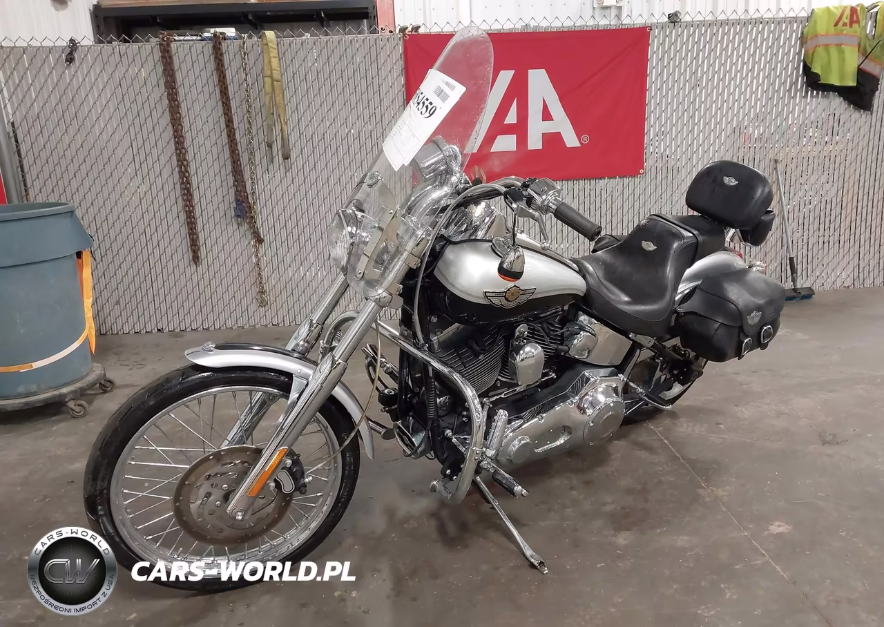 2003 Harley-Davidson Fxstdi Anniversary VIN:1HD1JBB443Y014131 - 2