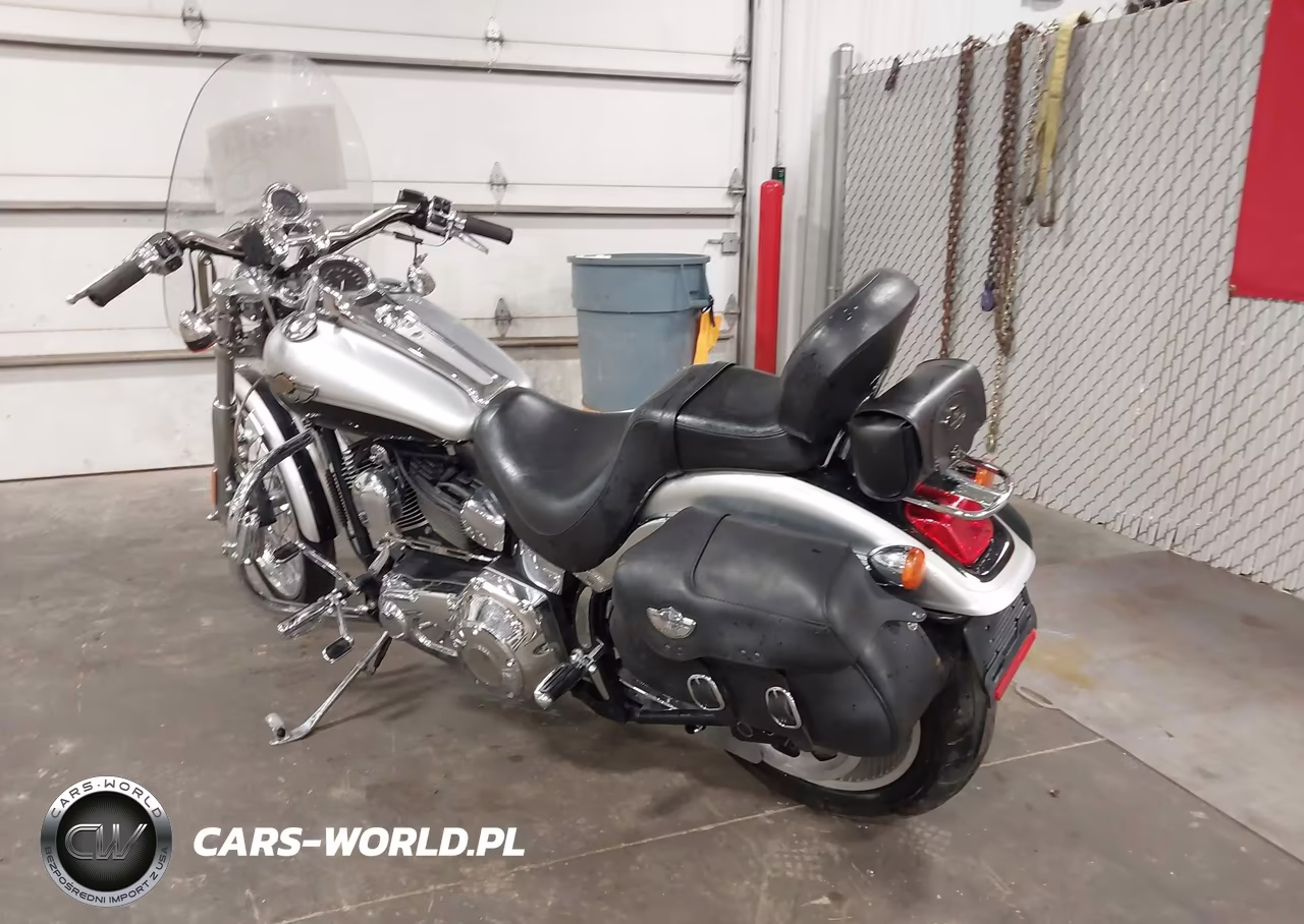 2003 Harley-Davidson Fxstdi Anniversary VIN:1HD1JBB443Y014131 - 3