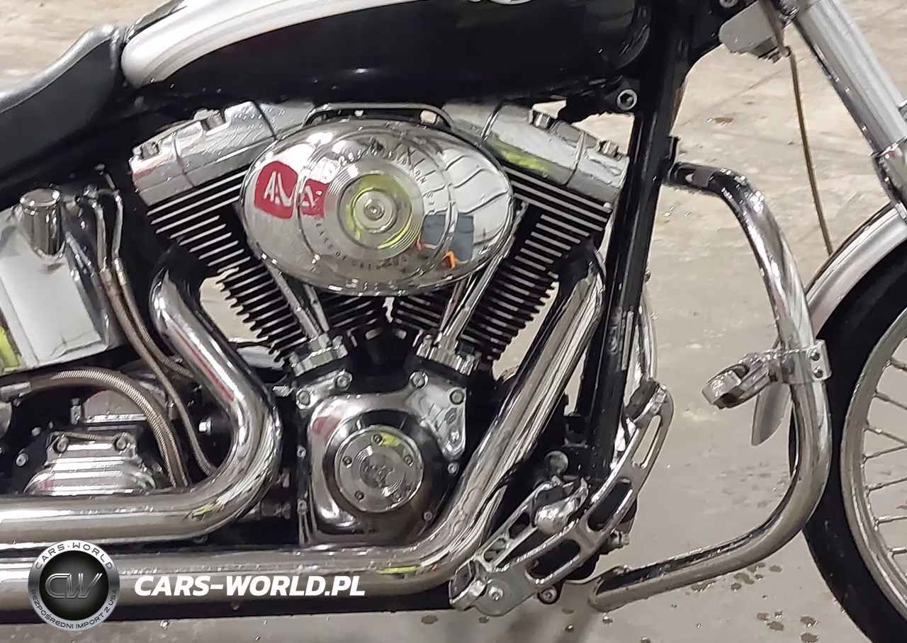 2003 Harley-Davidson Fxstdi Anniversary VIN:1HD1JBB443Y014131 - 8