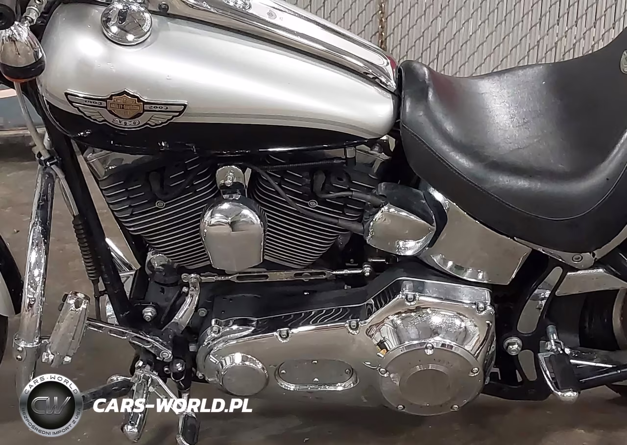 2003 Harley-Davidson Fxstdi Anniversary VIN:1HD1JBB443Y014131 - 9