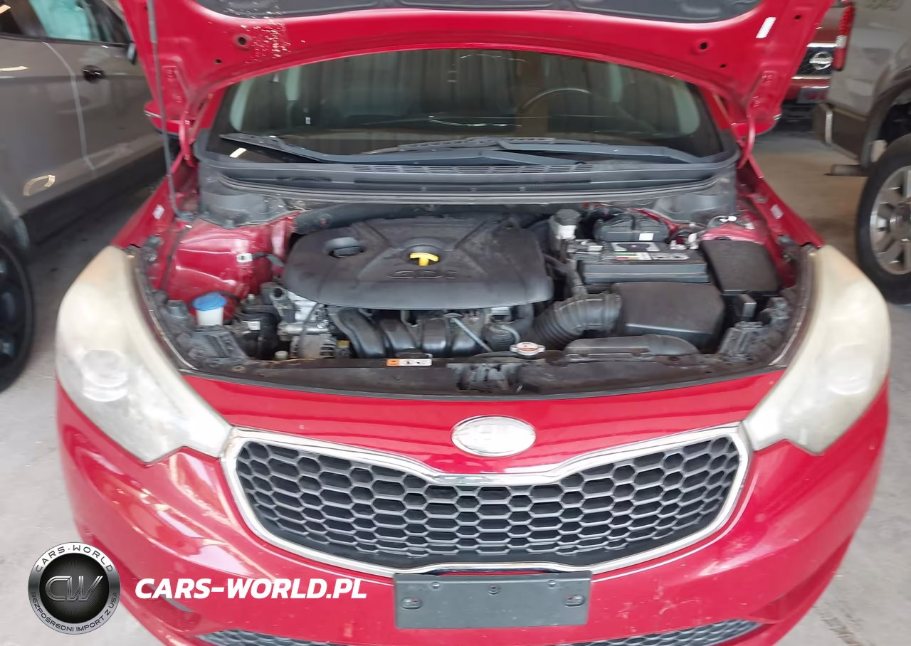 2014 Kia Forte Ex VIN:KNAFZ4A80E5074389 - 10