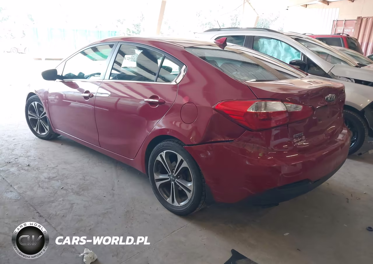 2014 Kia Forte Ex VIN:KNAFZ4A80E5074389 - 3