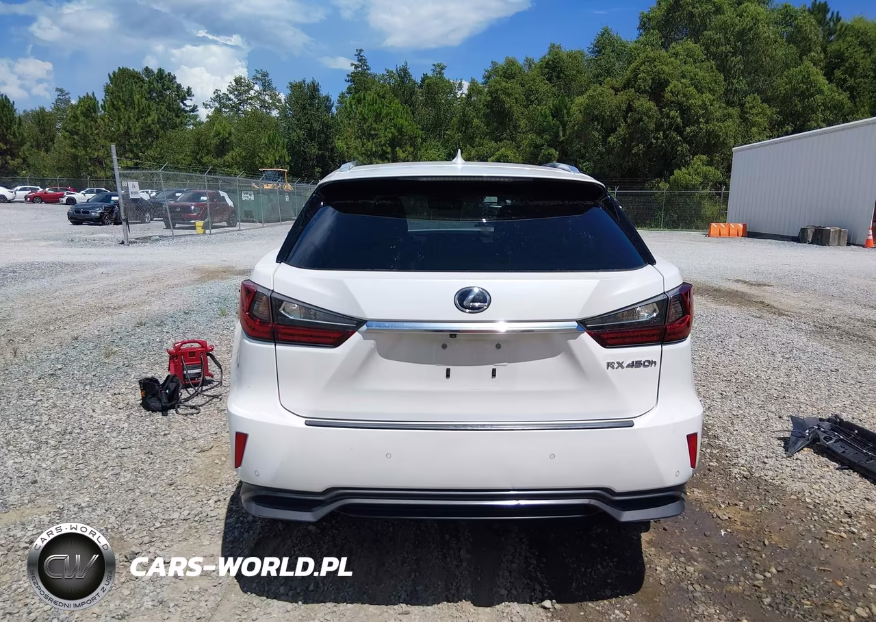 2019 Lexus Rx 450H VIN:2T2BGMCA3KC032493 - 16