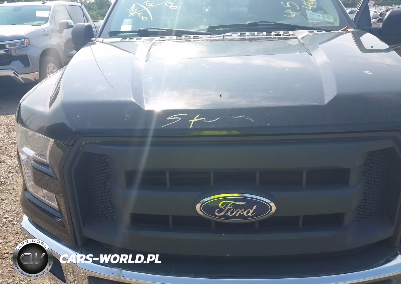 2016 Ford F-150 Xl VIN:1FTEX1CP4GFB19516 - 10