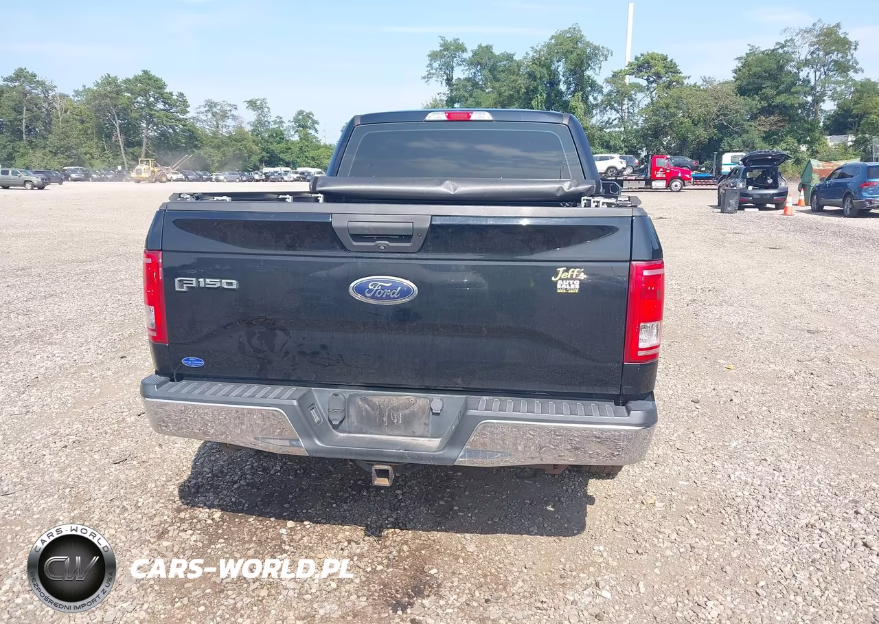 2016 Ford F-150 Xl VIN:1FTEX1CP4GFB19516 - 16
