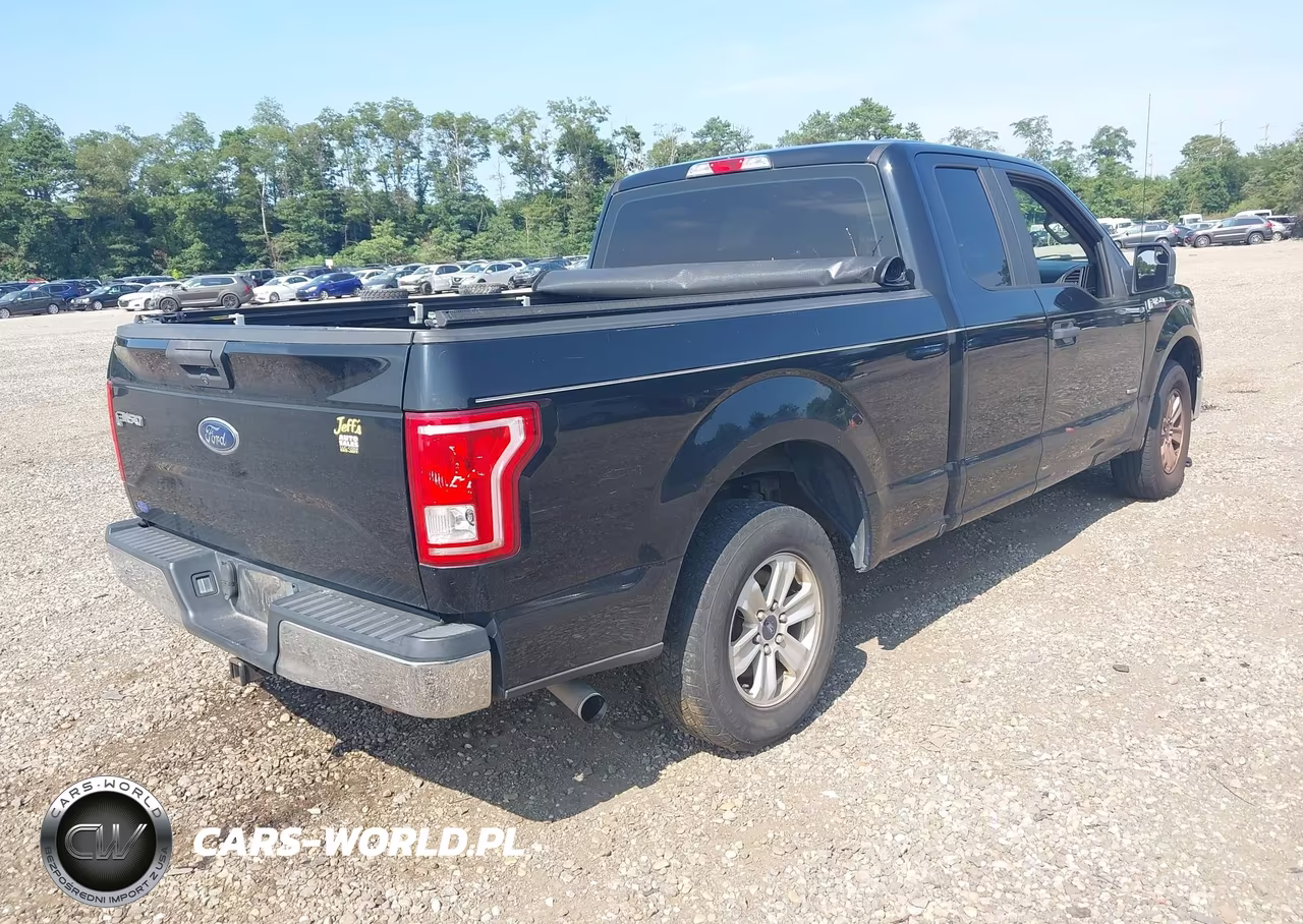 2016 Ford F-150 Xl VIN:1FTEX1CP4GFB19516 - 4