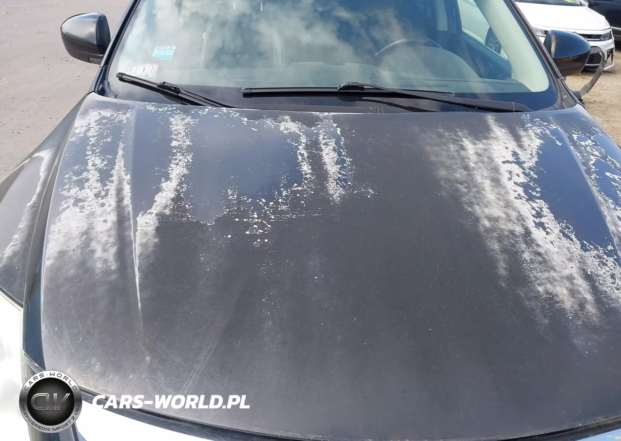 2010 Mazda Cx-9 Touring VIN:JM3TB3MV2A0226063 - 16