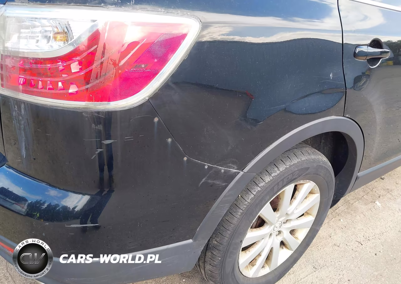2010 Mazda Cx-9 Touring VIN:JM3TB3MV2A0226063 - 6