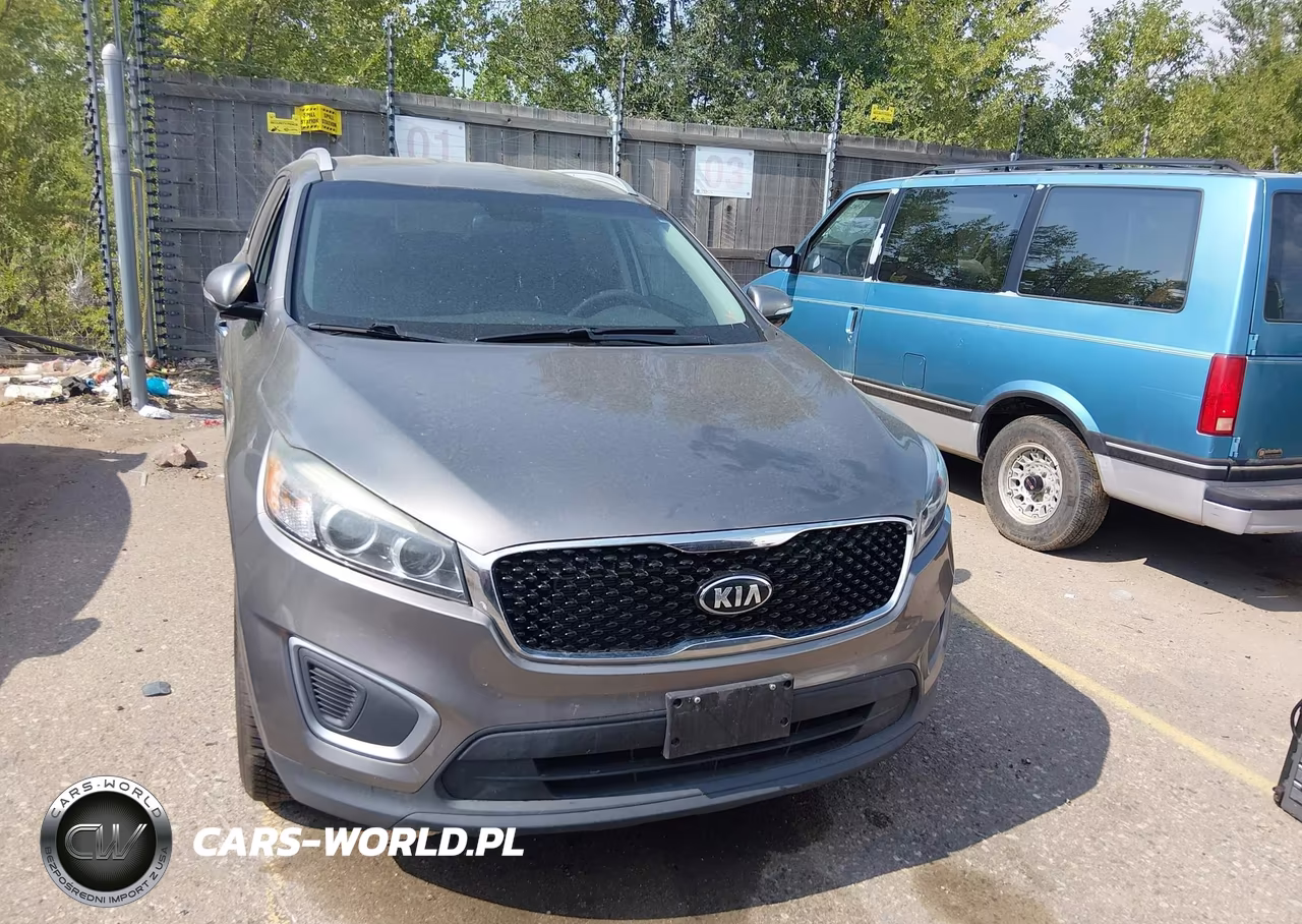 2017 Kia Sorento 3.3L Lx VIN:5XYPGDA54HG193609 - 12