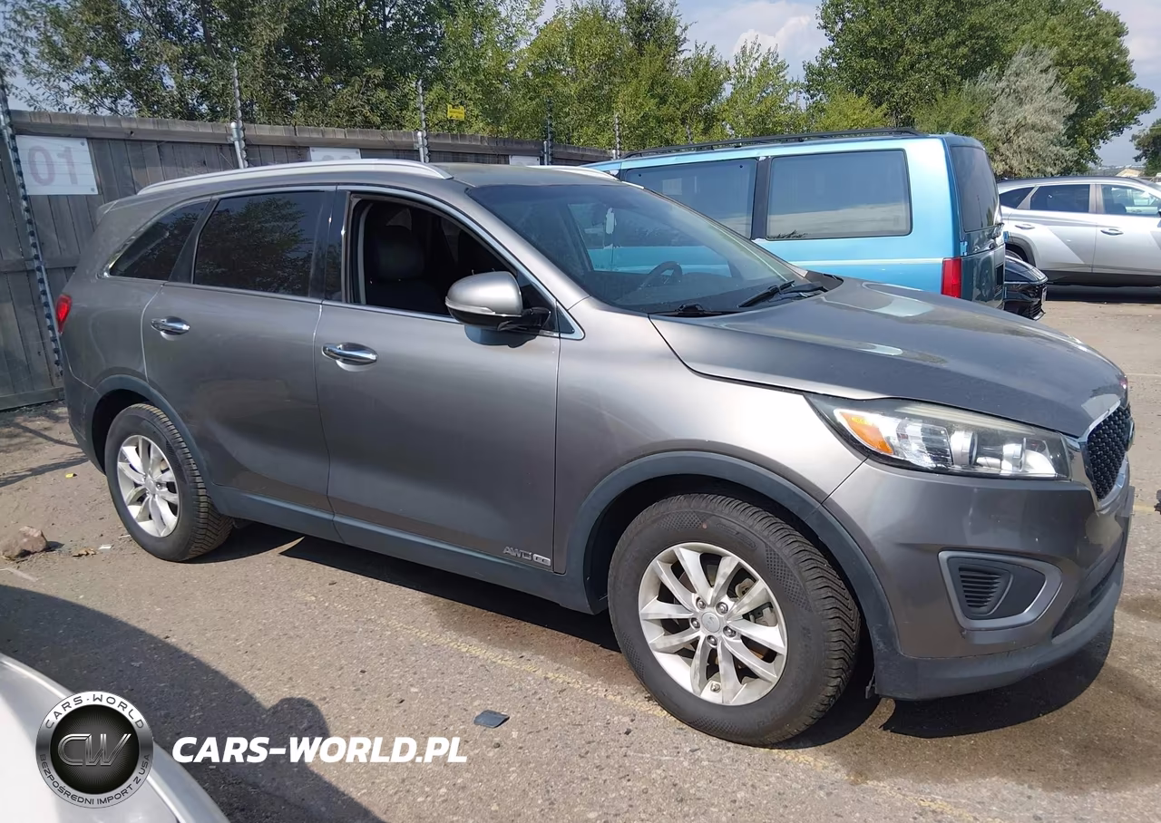 2017 Kia Sorento 3.3L Lx VIN:5XYPGDA54HG193609 - 13