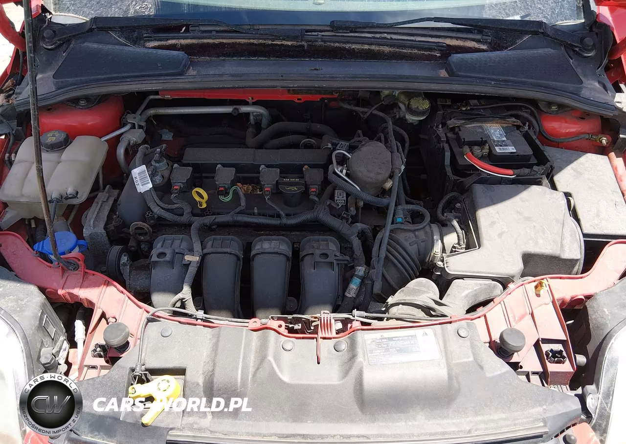 2014 Ford Focus Se VIN:1FADP3K22EL186701 - 10