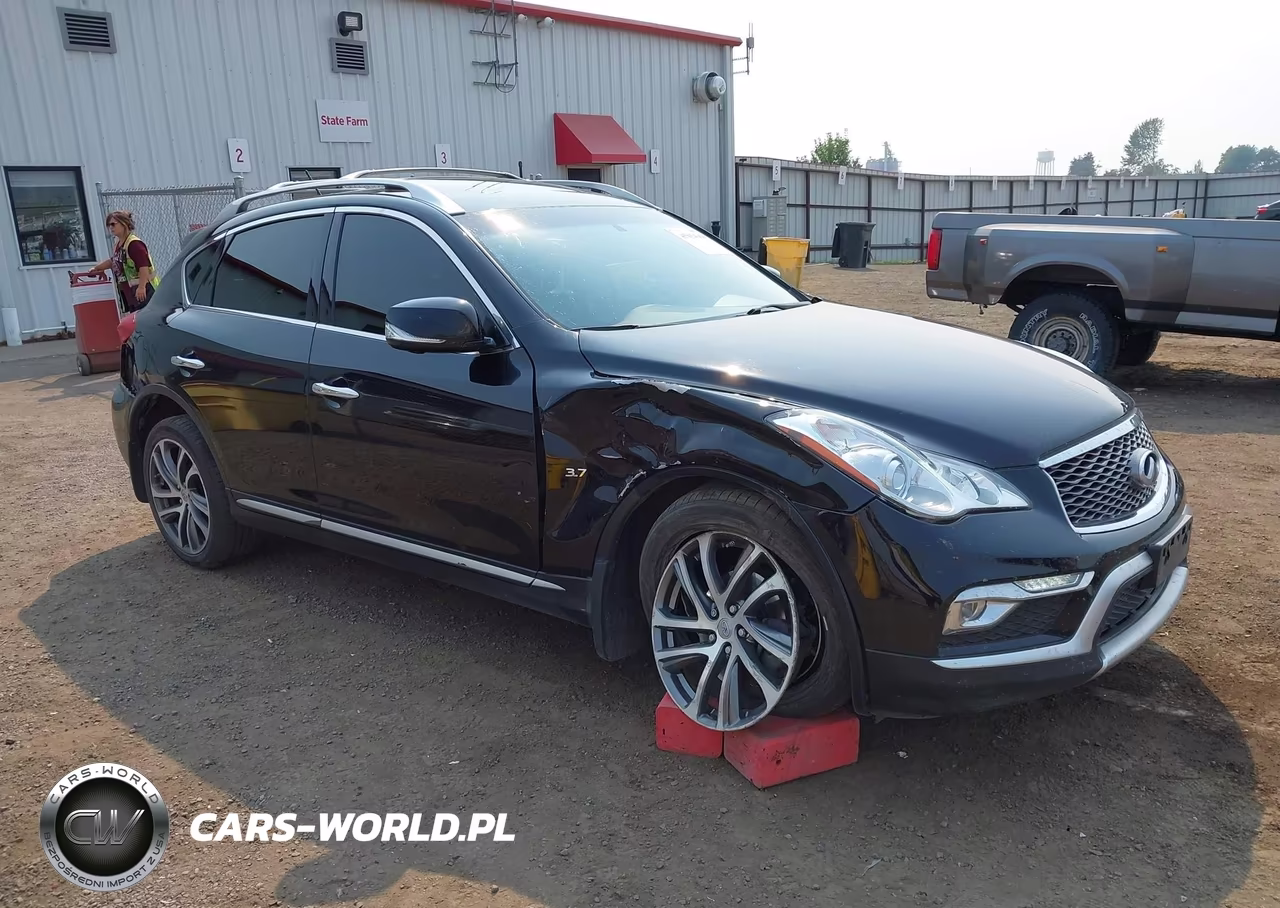 2016 Infiniti Qx50 VIN:JN1BJ0RR1GM270321 - 13