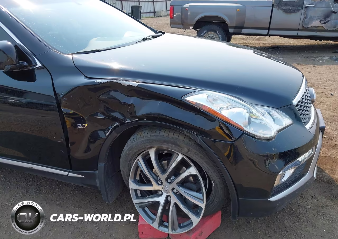 2016 Infiniti Qx50 VIN:JN1BJ0RR1GM270321 - 18